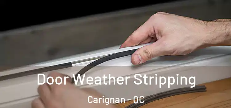 Door Weather Stripping Carignan - QC