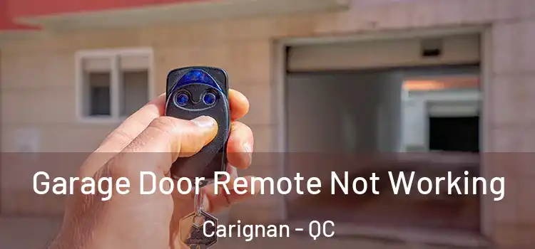  Garage Door Remote Not Working Carignan - QC