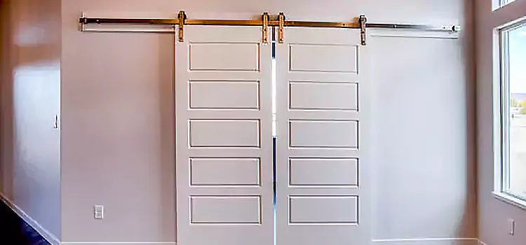 Glass Barn Door with Installation Hardware Kit Carignan