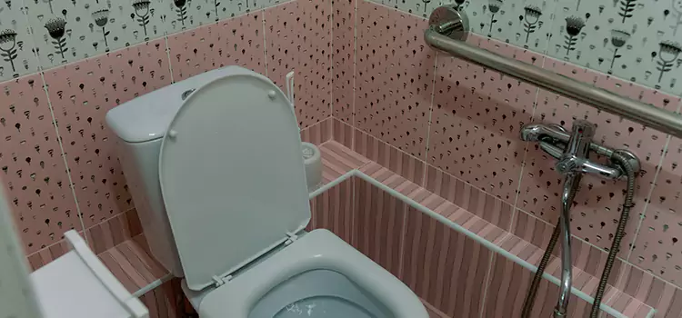 Meeting Diverse Needs With Accessible Restroom Solutions in Carignan, QC
