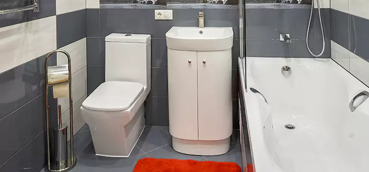 Hansgrohe Shaving Mirror Carignan