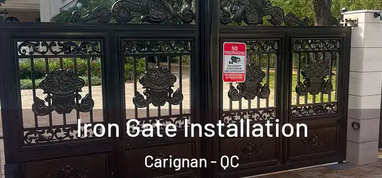 Iron Gate Installation Carignan - QC