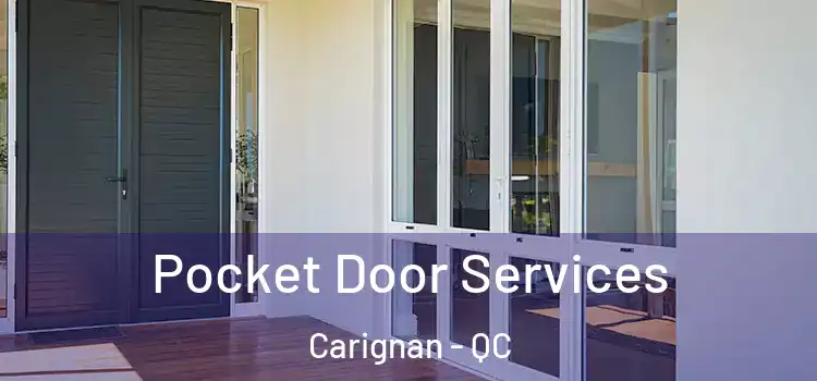 Pocket Door Services Carignan - QC