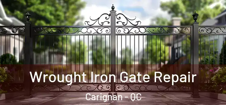Wrought Iron Gate Repair Carignan - QC